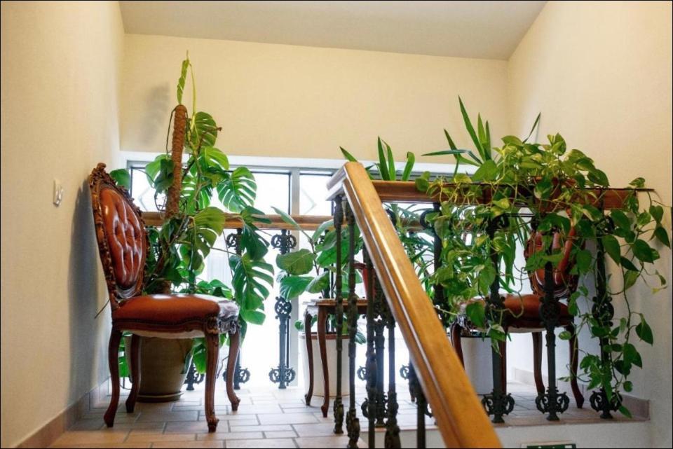 Apartment Senamiescio Inkaras Klaipeda Luaran gambar